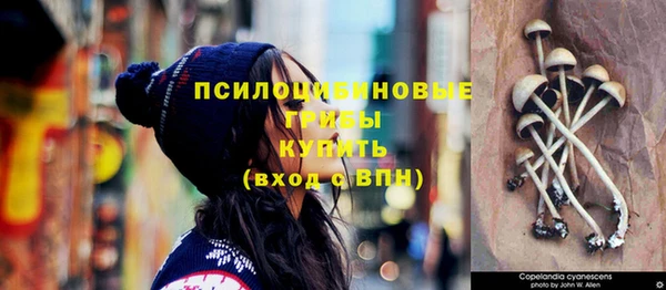 наркотики Гусиноозёрск
