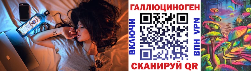 купить наркоту  Дербент  Галлюциногенные грибы Psilocybe 